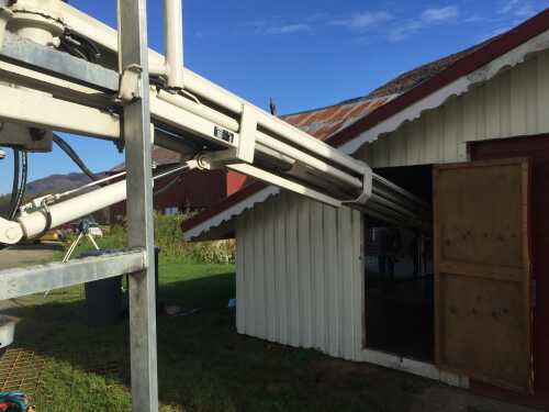 Selv hunder skal ha betong gulv i sine hus